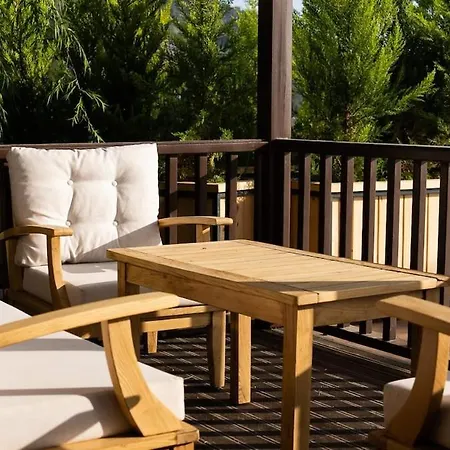 Sapolto Faralya 费特希耶