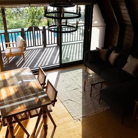 Sapolto Faralya * 费特希耶