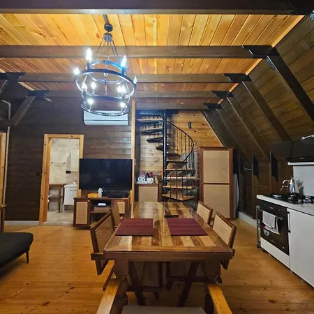 Sapolto Faralya * 费特希耶