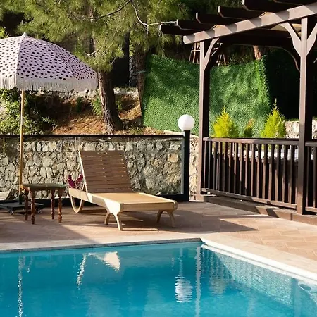 Sapolto Faralya Villa *